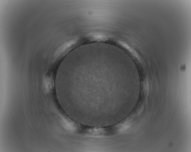 X0000092070517200709191206