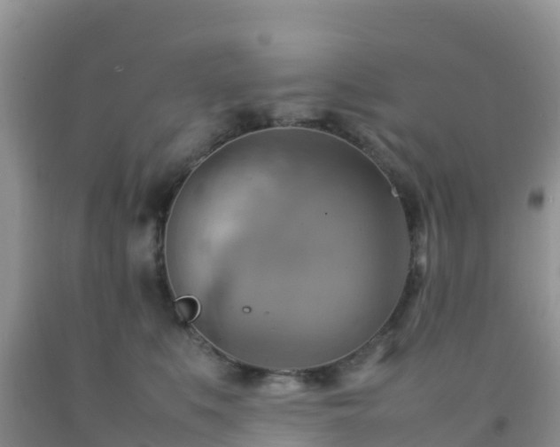 X0000092070519200709191206