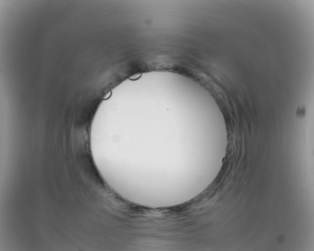 X0000092070523200709191206