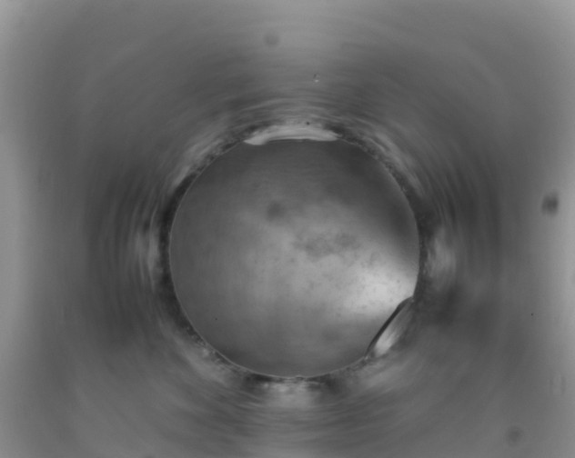 X0000092070524200709191206