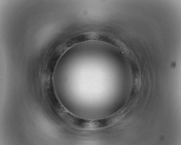 X0000092070525200709191206