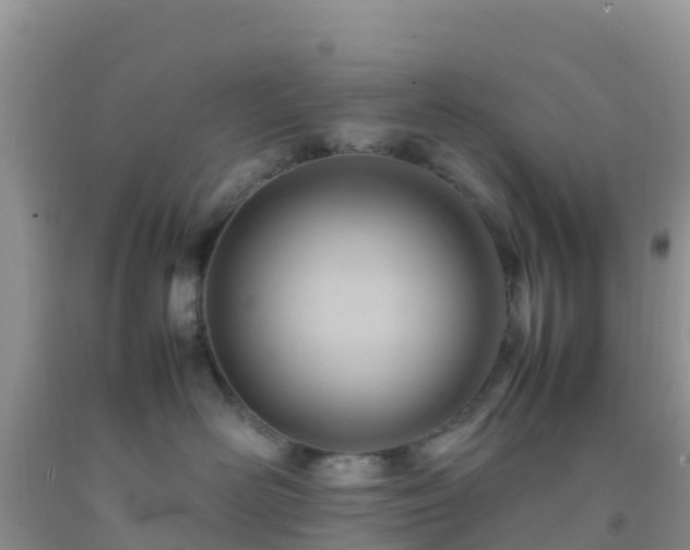X0000092070526200709191206
