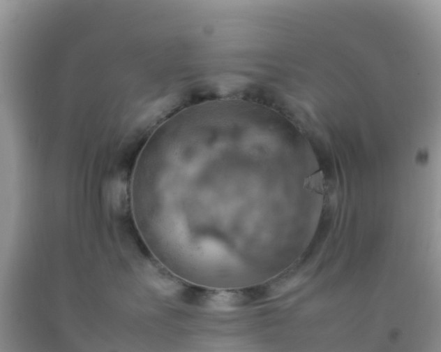 X0000092070527200709191206
