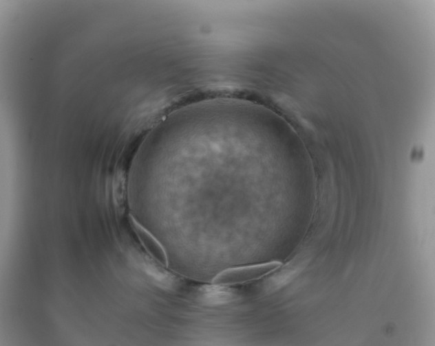 X0000092070528200709191206