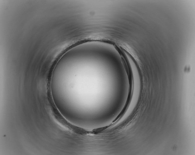 X0000092070530200709191205