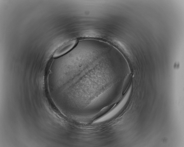 X0000092070531200709191205