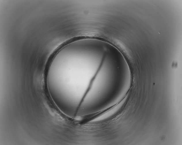 X0000092070532200709191205