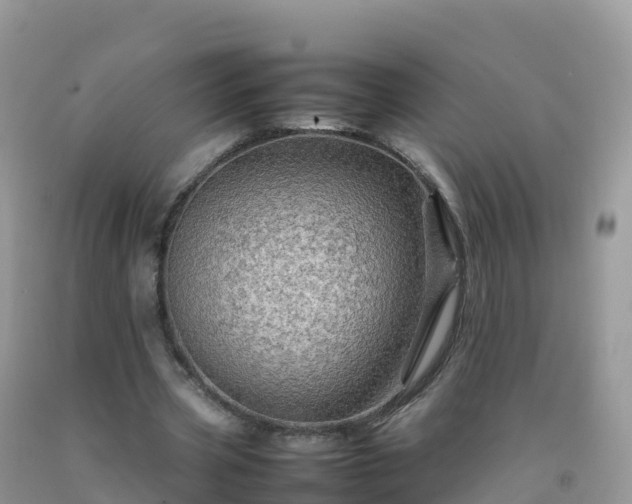 X0000092070533200709191205