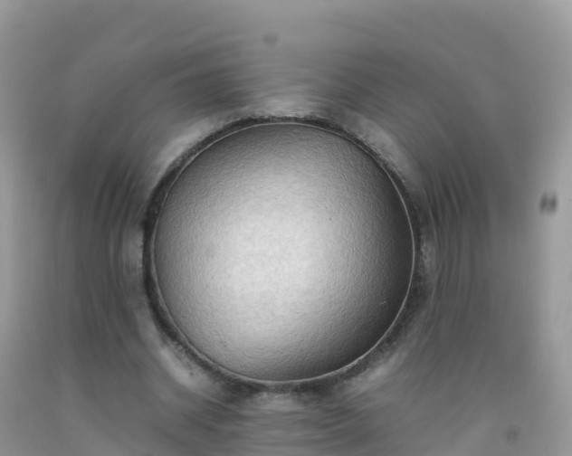X0000092070534200709191205