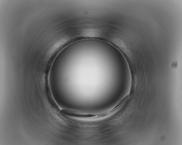 X0000092070535200709191205
