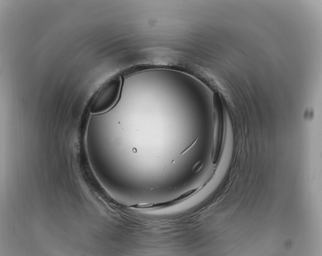 X0000092070536200709191205