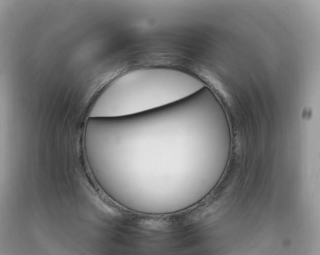 X0000092070537200709191205