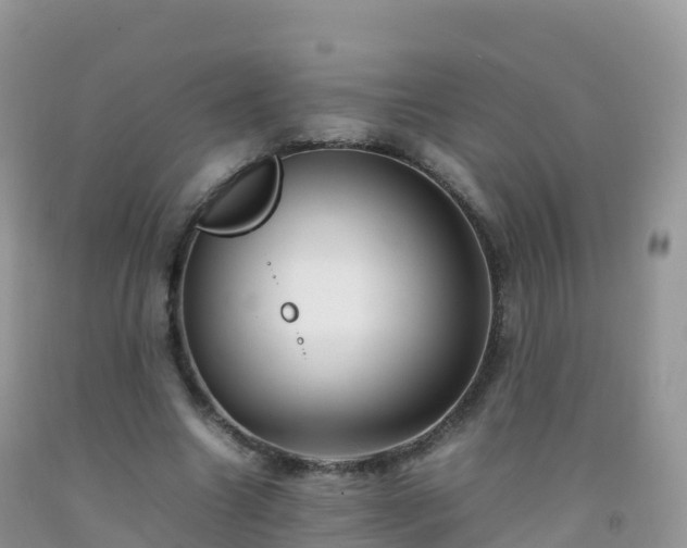 X0000092070538200709191205