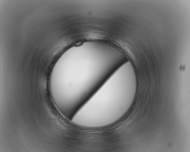 X0000092070539200709191205