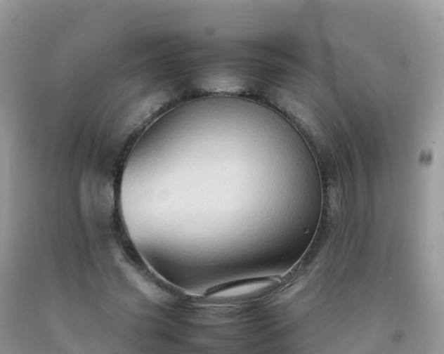 X0000092070541200709191205
