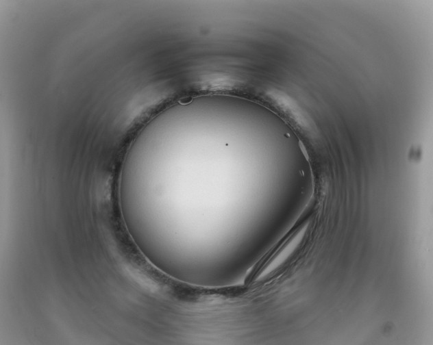 X0000092070543200709191205