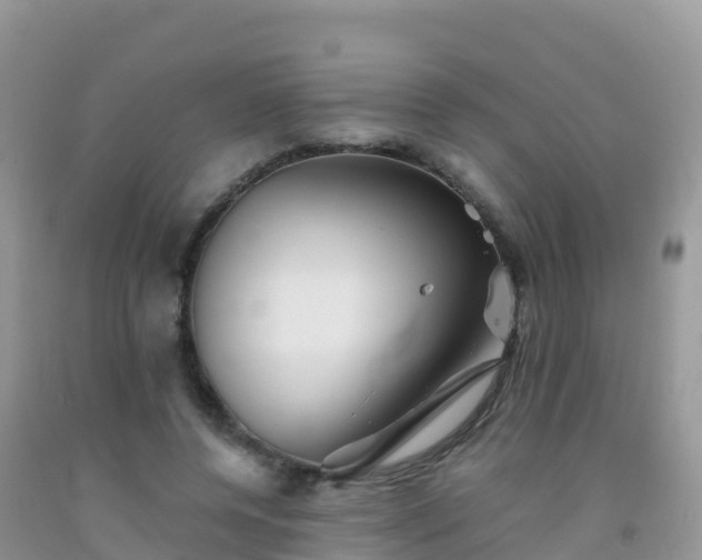 X0000092070544200709191205