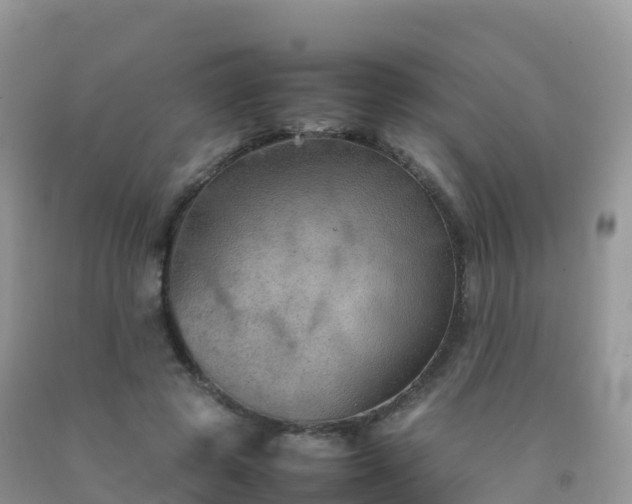 X0000092070545200709191205