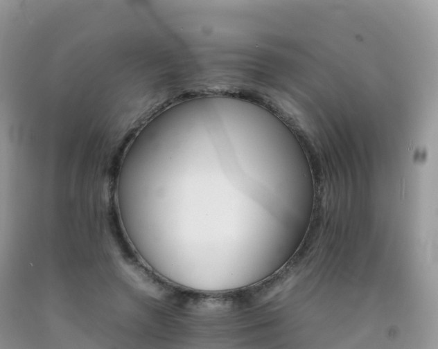 X0000092070546200709191205