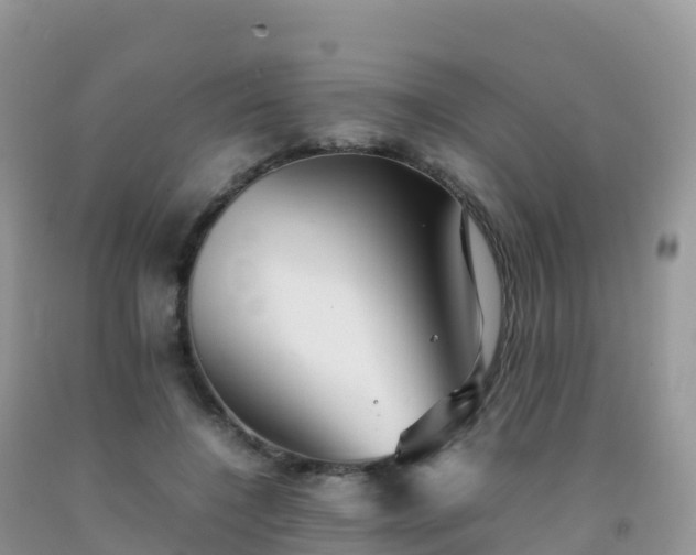X0000092070548200709191205
