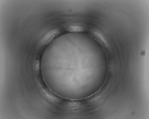X0000092070549200709191205