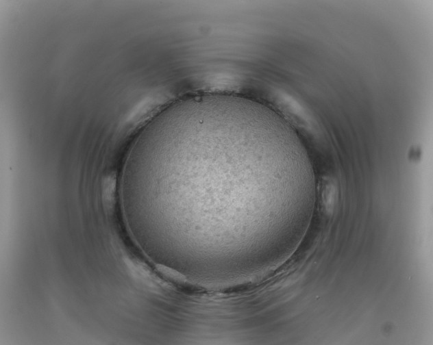 X0000092070550200709191205