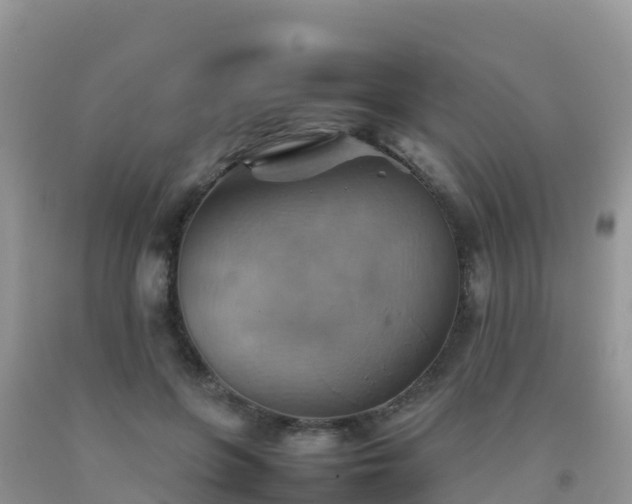 X0000092070551200709191205