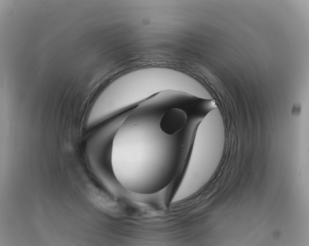 X0000092070552200709191205