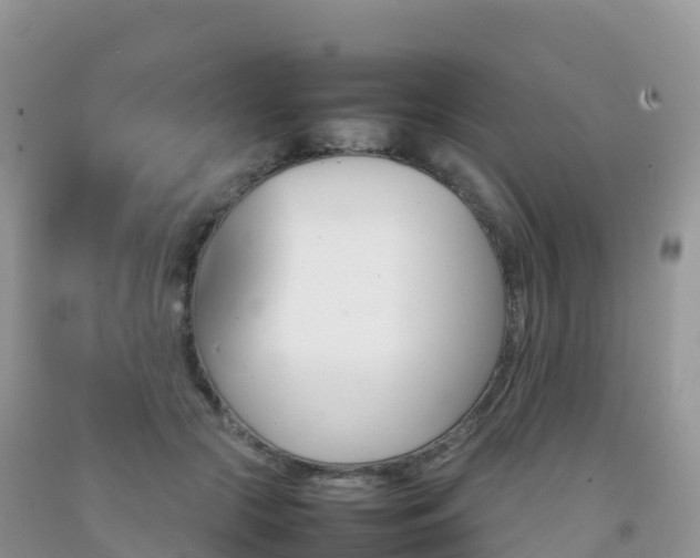 X0000092070553200709191205