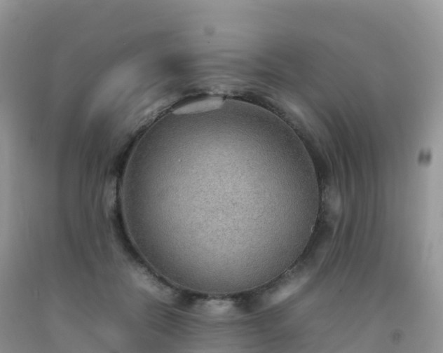 X0000092070554200709191205