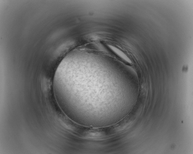 X0000092070555200709191205