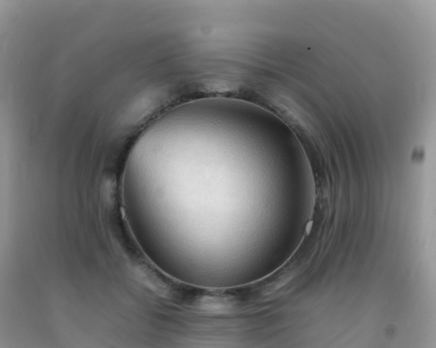 X0000092070556200709191205