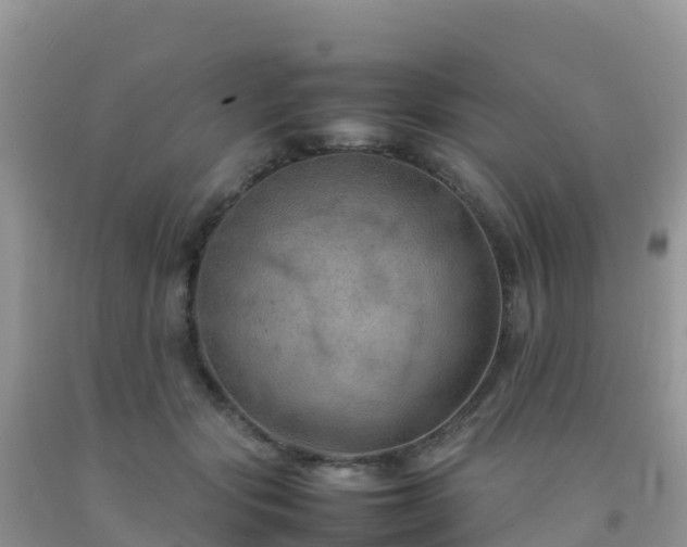 X0000092070557200709191206