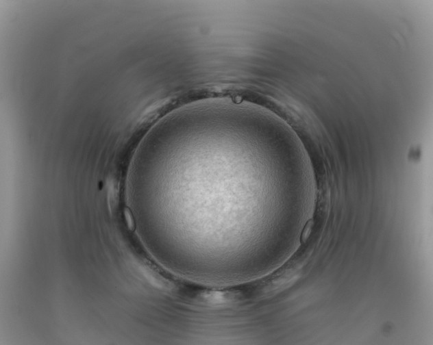 X0000092070558200709191206