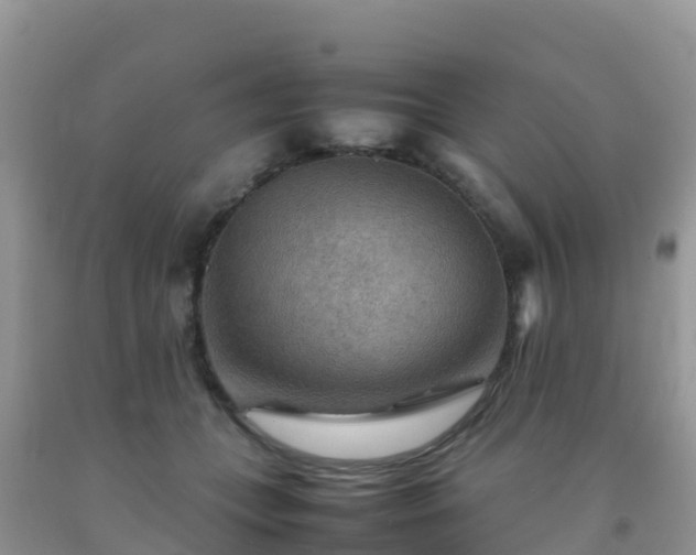 X0000092070559200709191206