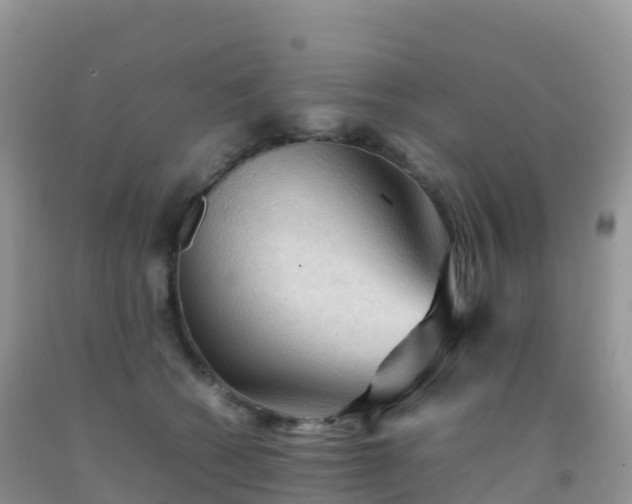 X0000092070562200709191206