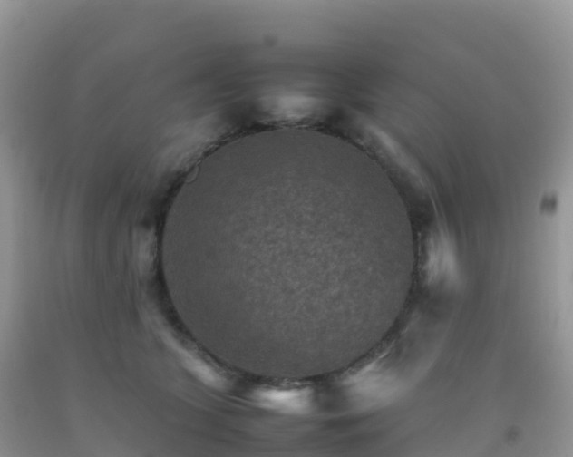 X0000092070563200709191206