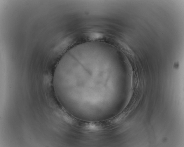 X0000092070565200709191206