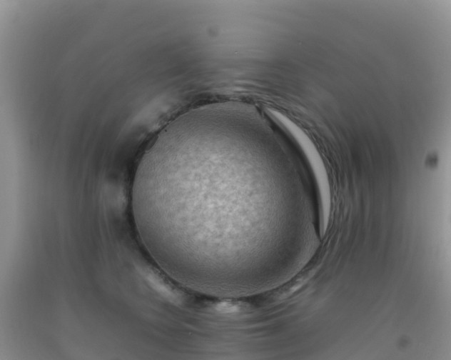 X0000092070566200709191206