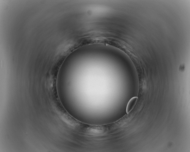 X0000092070567200709191206