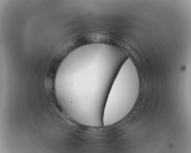 X0000092070569200709191206