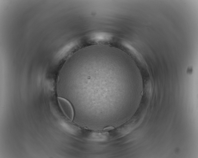 X0000092070571200709191206