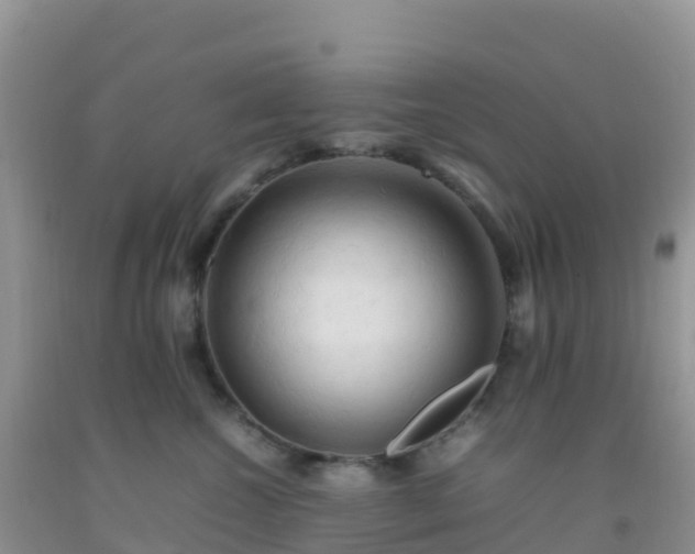 X0000092070572200709191206