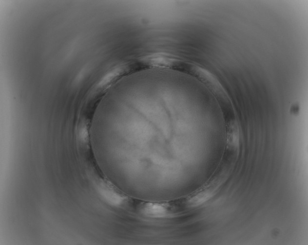 X0000092070573200709191206
