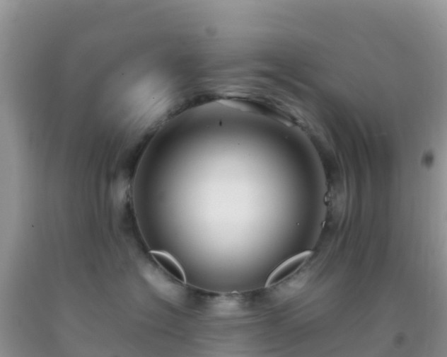 X0000092070574200709191206