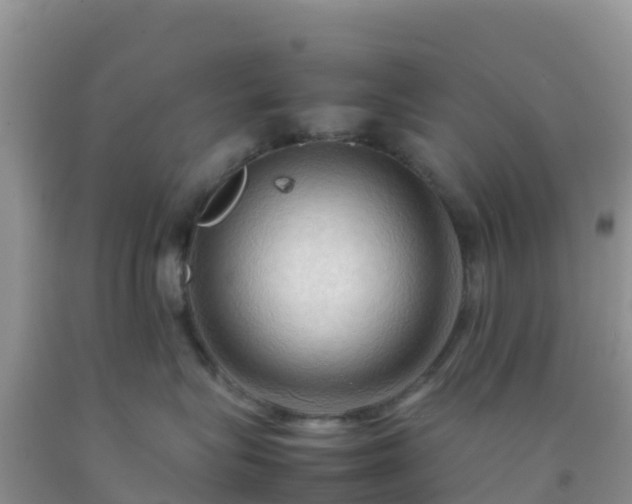 X0000092070575200709191206