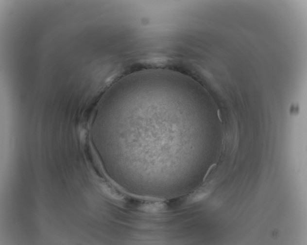 X0000092070576200709191206