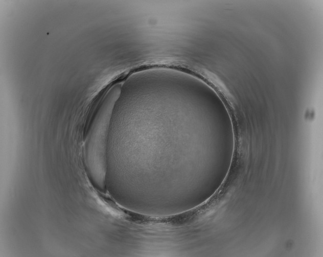 X0000092070577200709191205