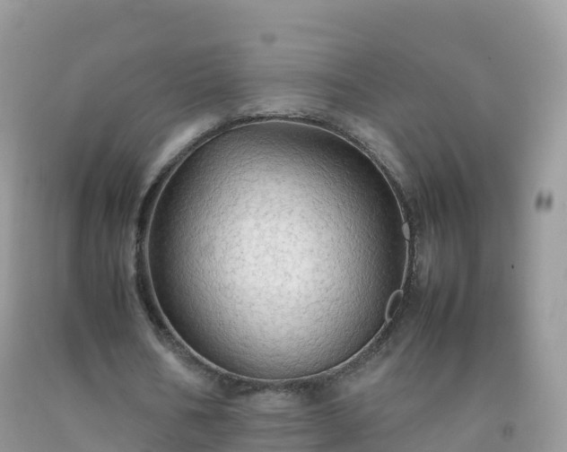 X0000092070578200709191205