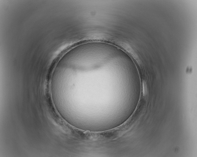 X0000092070579200709191205
